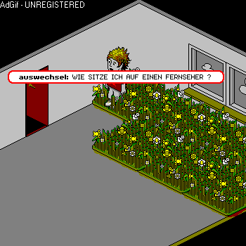 fernsehhocker.gif